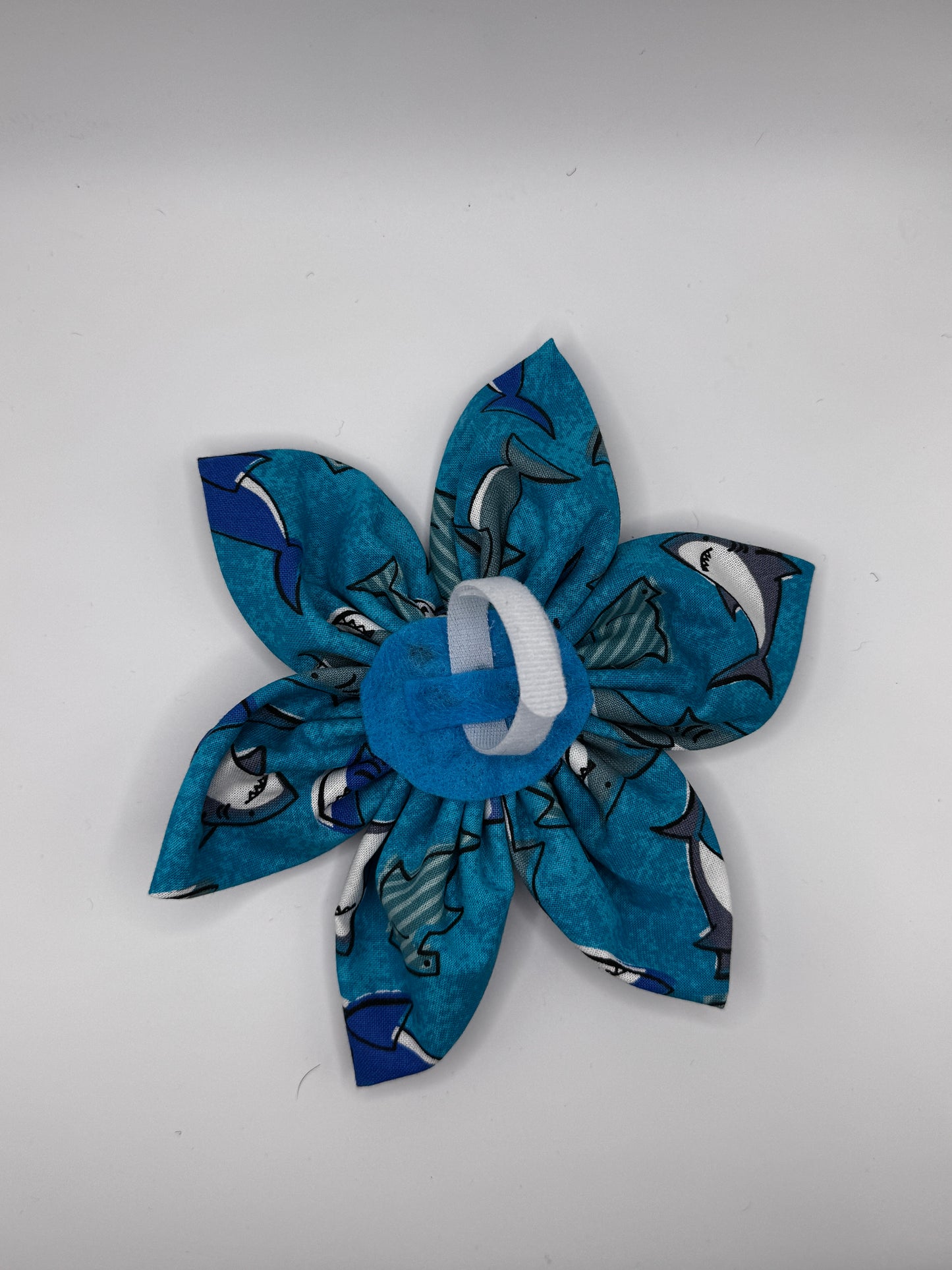 Shark Tail Flower