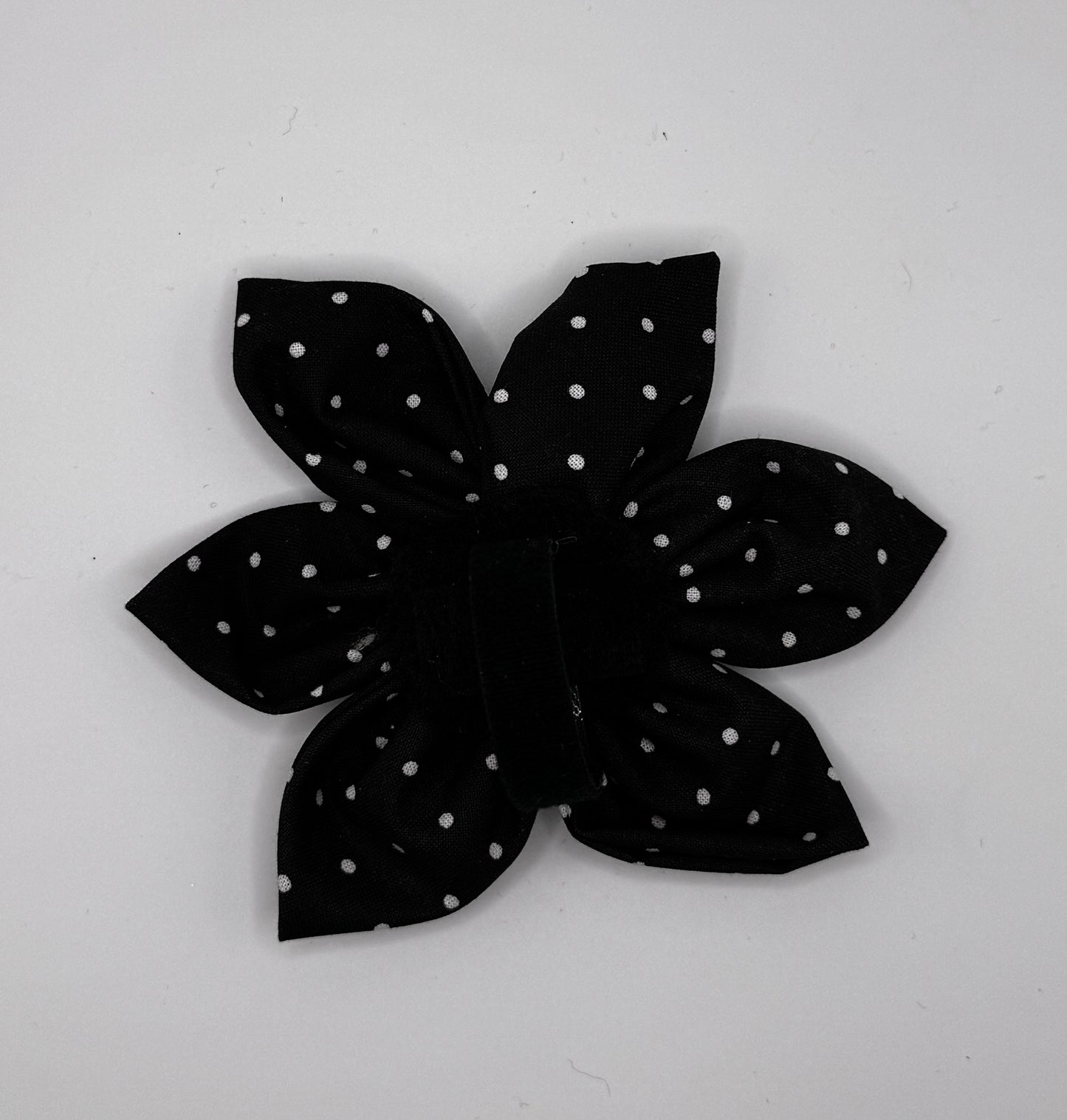 Midnight Spots Flower