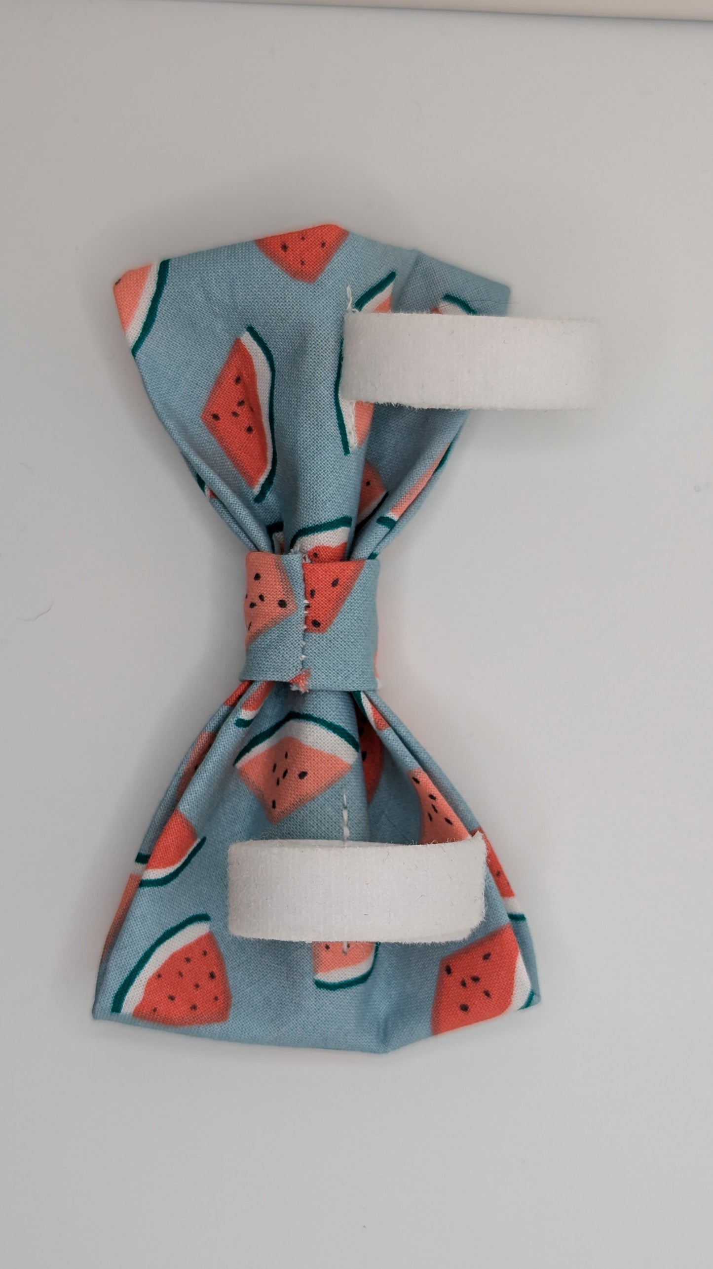 Watermelon Goodness Bow Tie