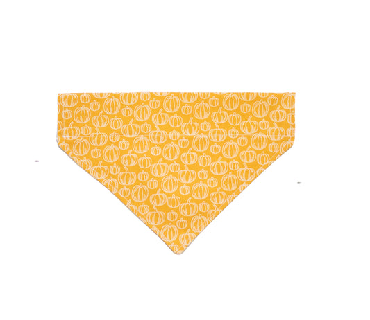 Pumpkin Patch Dog Bandana