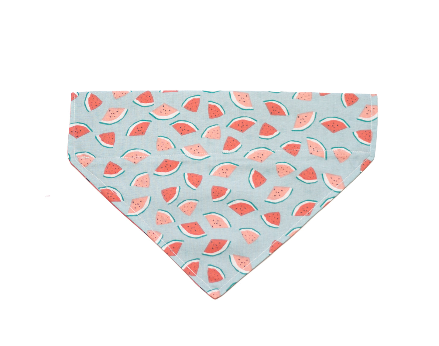 Watermelon Goodness Dog Bandana