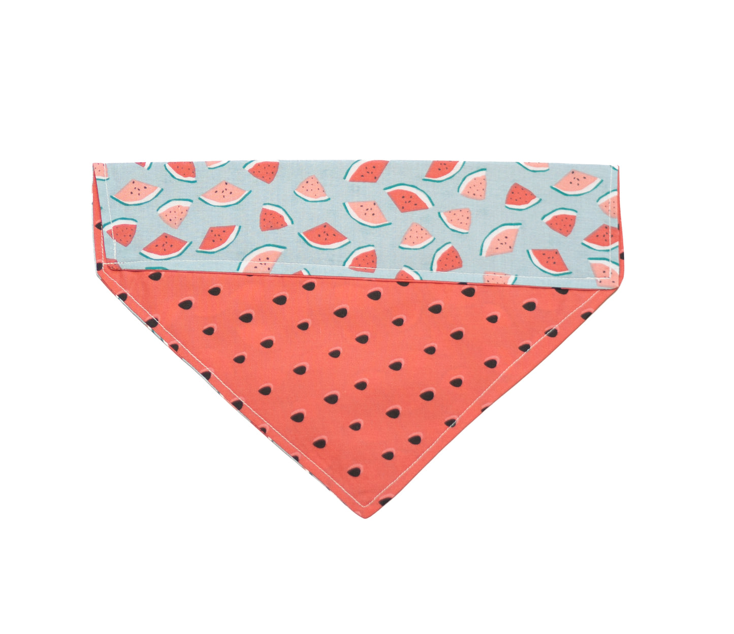 Watermelon Goodness Dog Bandana