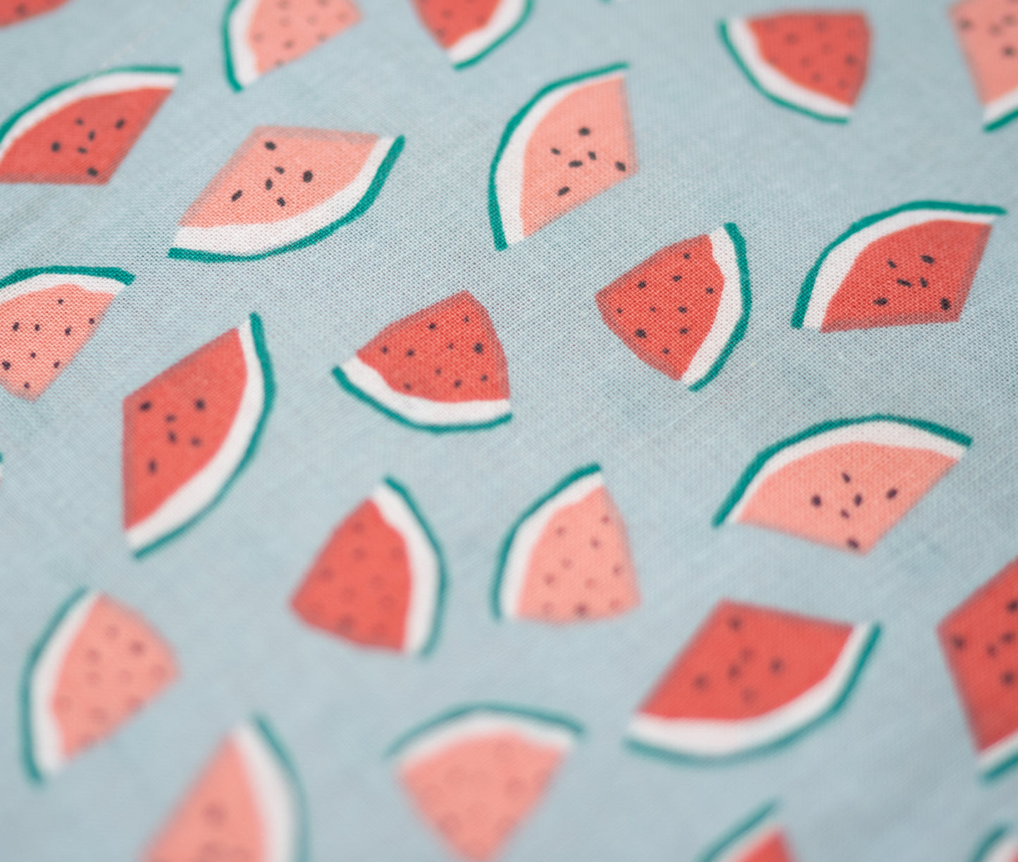 Watermelon Goodness Dog Bandana