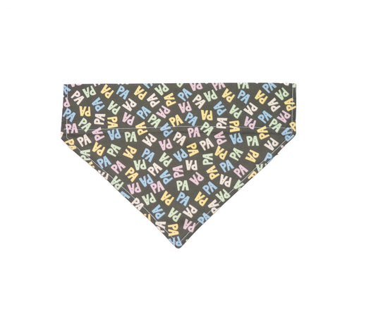 PA Pride Dog Bandana