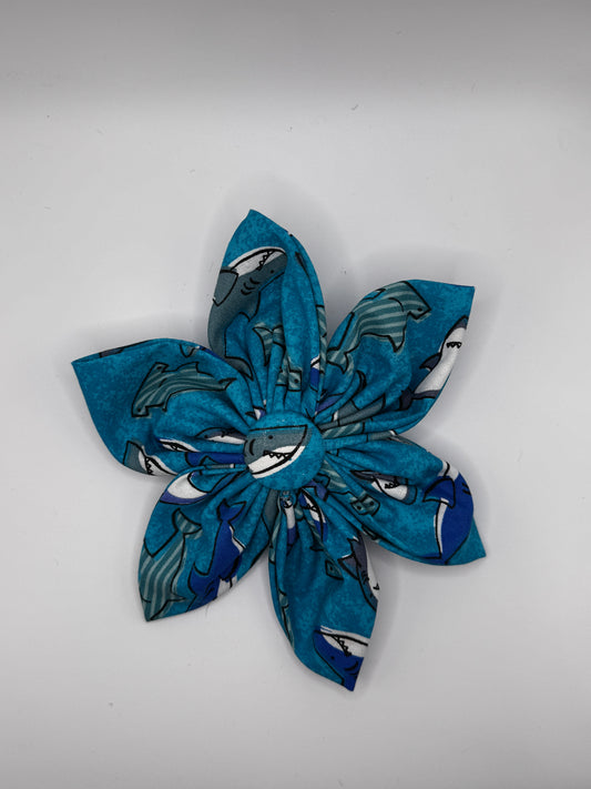 Shark Tail Flower