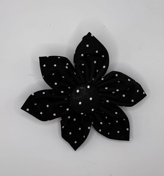 Midnight Spots Flower