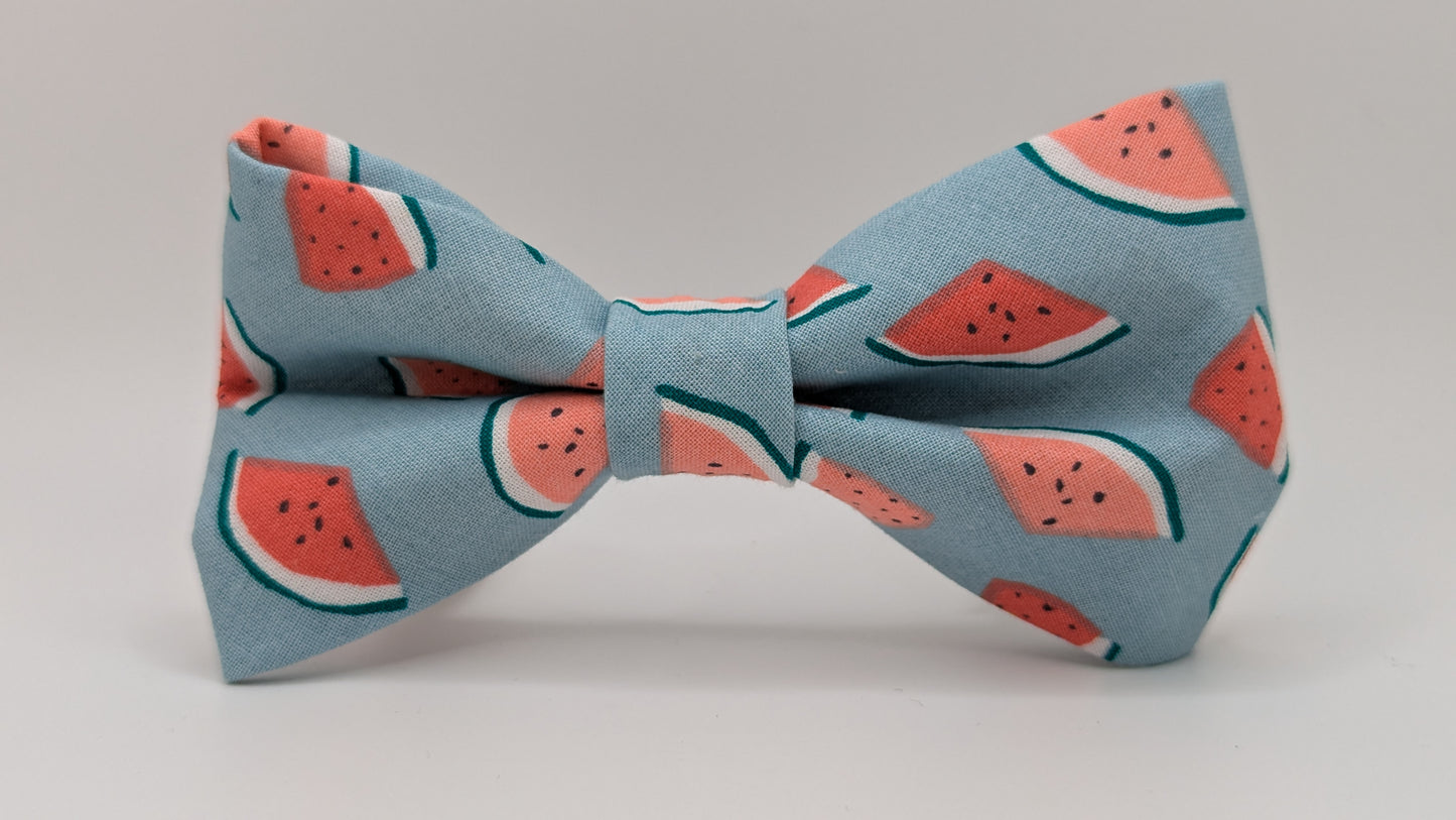 Watermelon Goodness Bow Tie